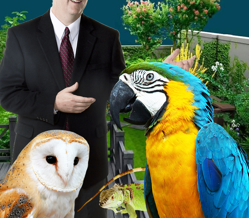 eventos palestra com animais silvestres e exóticos 1